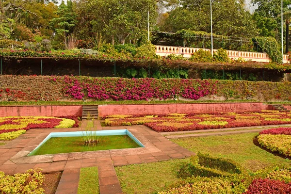 Funchal Portugal February 2018 Botanical Garden — Stock Photo, Image