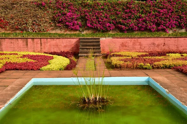 Funchal Portugal Febrero 2018 Jardín Botánico — Foto de Stock