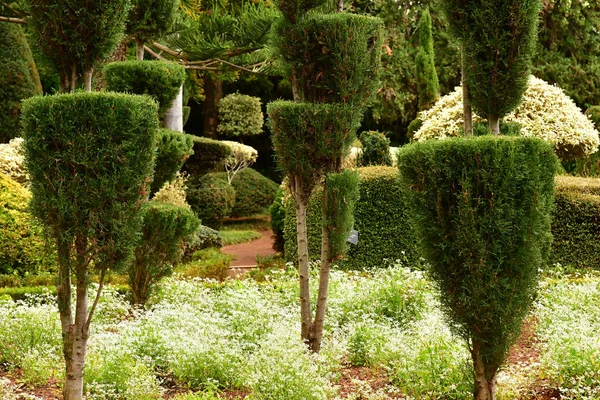 Funchal Portugal Febrero 2018 Jardín Botánico — Foto de Stock