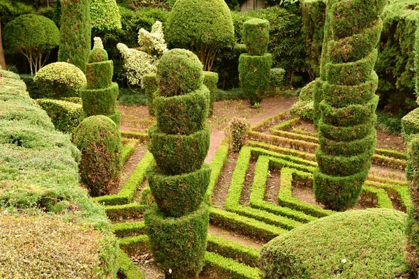 Funchal Portugal Febrero 2018 Jardín Botánico — Foto de Stock