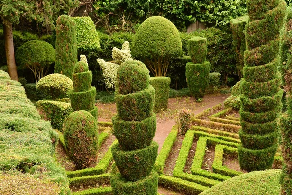 Funchal Portugal Febrero 2018 Jardín Botánico — Foto de Stock