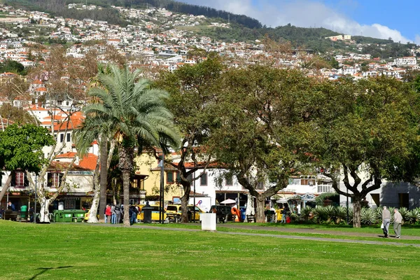 Funchal Portugalia Luty 2018 Centrum Miasta — Zdjęcie stockowe