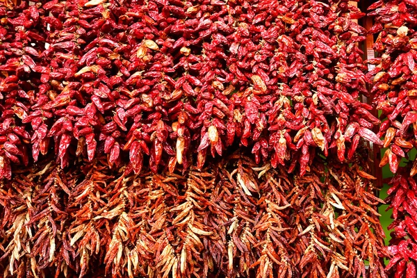 Funchal Portugal Fevereiro 2018 Chili Mercado Coberto Centro Cidade — Fotografia de Stock