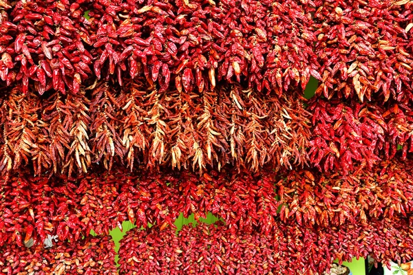 Funchal Portugália Február 2018 Chili Fedett Piac Város Központjában — Stock Fotó