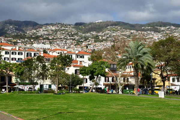 Funchal Portekiz Şubat 2018 Şehir Merkezi — Stok fotoğraf