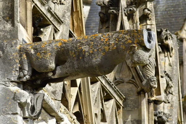 Les Andelys Frankrike Mars 2018 Gargoyle Collegiate Kyrkan Notre Dame — Stockfoto