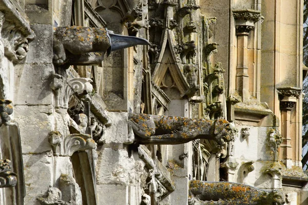 Les Andelys Frankrike Mars 2018 Gargoyle Collegiate Kyrkan Notre Dame — Stockfoto