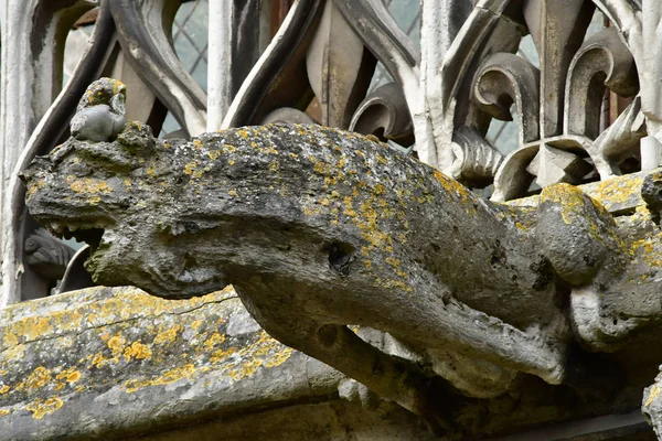 Les Andelys France March 2018 Gargoyle Collegiate Church Notre Dame — Stock Photo, Image