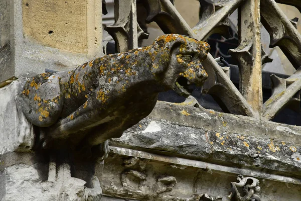 Les Andelys Francie Března 2018 Chrlič Kolegiátní Kostel Notre Dame — Stock fotografie