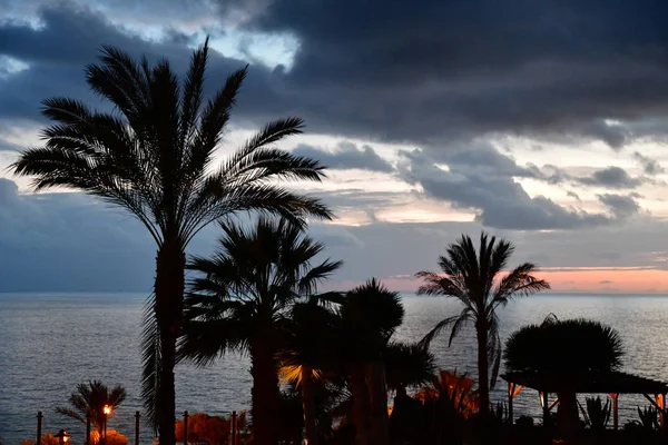 Funchal Portekiz Şubat 2018 Bahçe Bir Otelden Görülen Atlantik — Stok fotoğraf