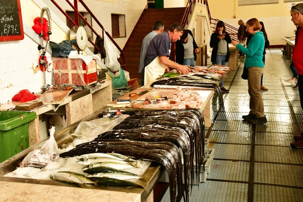 Фуншал Португалия Февраля 2018 Года Рыбный Магазин Крытом Рынке Центре — стоковое фото