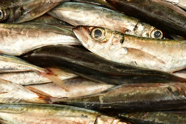 Funchal Portugal February 2018 Fish Shop Covered Market City Centre — Stock Photo, Image