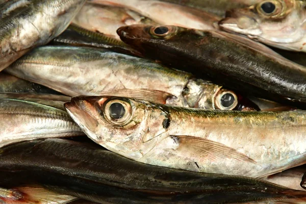 Funchal Portugal February 2018 Fish Shop Covered Market City Centre — Stock Photo, Image