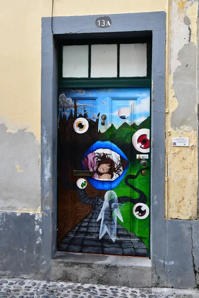 Funchal Portekiz Şubat 2018 Santa Maria Sokakta Boyalı Kapı — Stok fotoğraf
