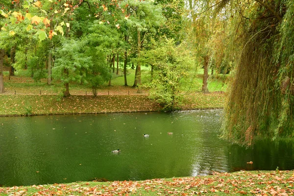 Poissy Frankreich Oktober 2017 Der Meissonier Park Herbst — Stockfoto
