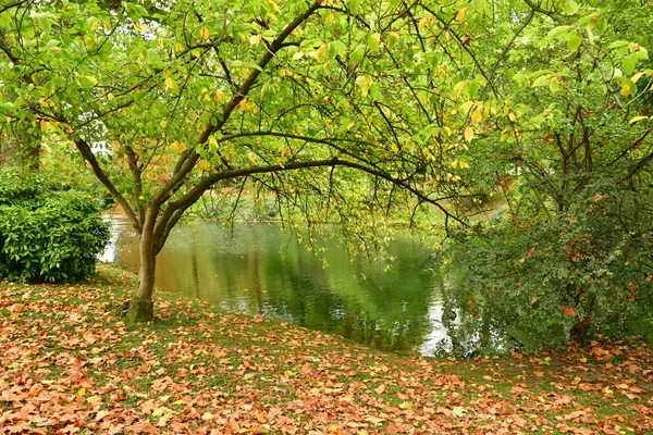 Poissy France October 2017 Meissonier Park Autumn — Stock Photo, Image