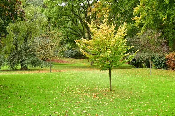 Poissy Fransa Ekim 2017 Sonbahar Meissonier Parkta — Stok fotoğraf