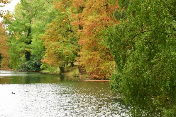 Poissy Francia Octubre 2017 Parque Meissonier Otoño —  Fotos de Stock