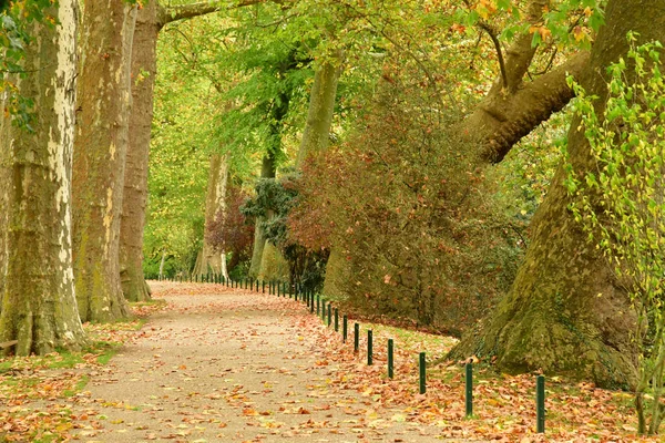 Poissy Francja Października 2017 Park Meissonier Jesienią — Zdjęcie stockowe