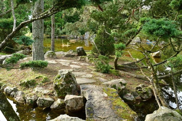 Aincourt França Novembro 2017 Jardim Japonês — Fotografia de Stock