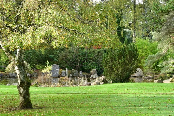 Aincourt Francia Noviembre 2017 Jardín Japonés — Foto de Stock