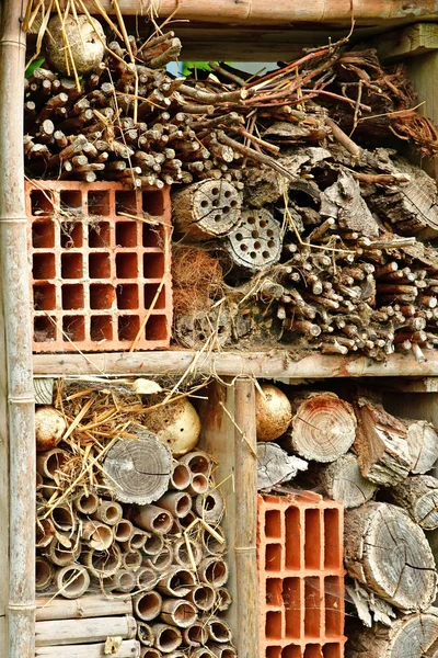 Les Mureaux France May 2017 Insect Hotel Allotment Garden — Stock Photo, Image