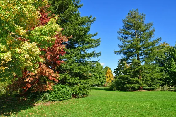 Les Mureaux Francia Ottobre 2017 Parco Dei Marronniers — Foto Stock