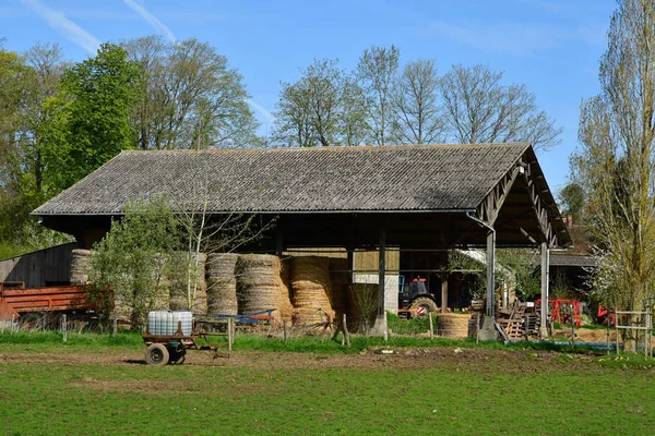 Aincourt Franciaország Április 2018 Táj — Stock Fotó