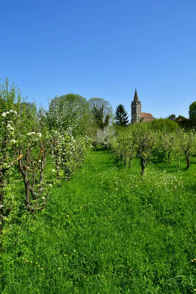 Cergy Frankreich April 2018 Obstgarten Und Kirche Der Altstadt — Stockfoto