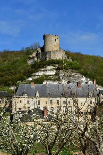 Roche Guyon Francia Abril 2018 Castillo — Foto de Stock