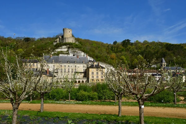 Roche Guyon Francja Kwietnia 2018 Zamek — Zdjęcie stockowe