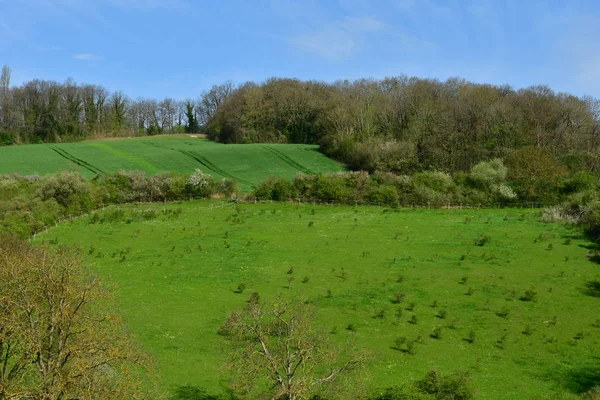 Vienne Arthies France April 2018 Landscape — ストック写真