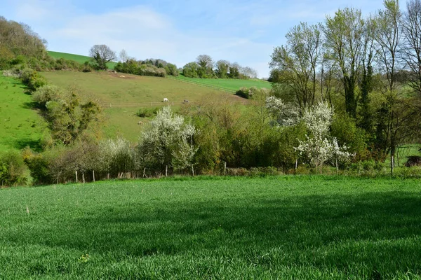 Vienne Arthies France April 2018 Landscape — ストック写真