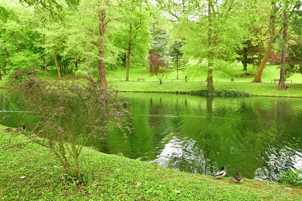 Poissy Frankreich Mai 2018 Der Meissonier Park Frühling — Stockfoto