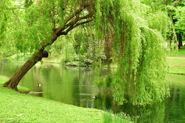 Poissy France 1Er Mai 2018 Parc Meissonier Printemps — Photo