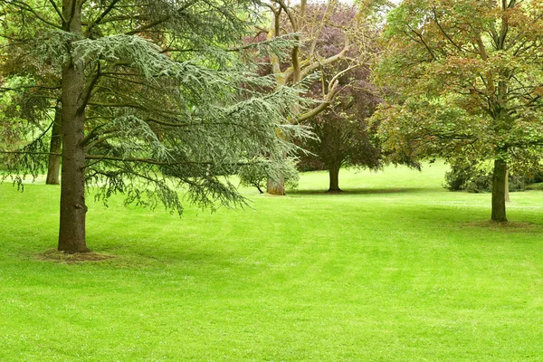 Poissy Francia Mayo 2018 Parque Meissonier Primavera —  Fotos de Stock