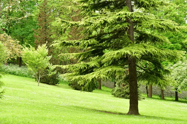 Poissy Frankrijk Mei 2018 Het Meissonier Park Het Voorjaar — Stockfoto