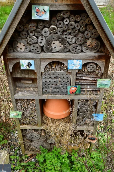 Themericourt France Avril 2018 Hôtel Insecte Dans Parc Château — Photo