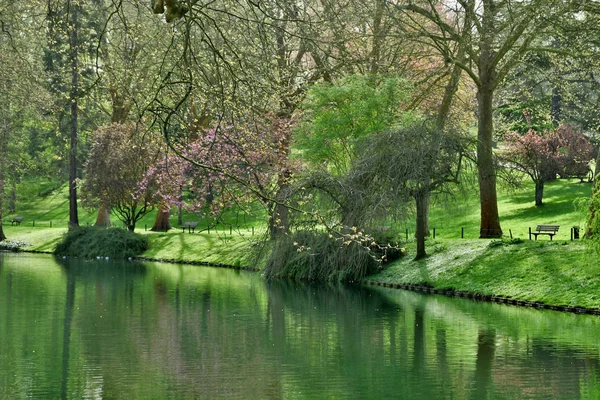 Poissy Frankrijk April 2018 Het Meissonier Park Het Voorjaar — Stockfoto