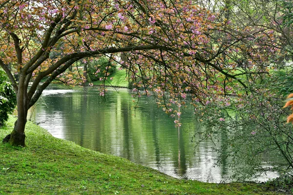 Poissy Francja Kwietnia 2018 Park Meissonier Wiosną — Zdjęcie stockowe