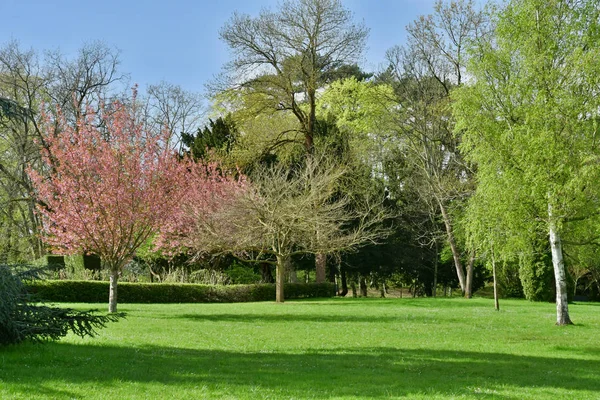 法国波瓦西 2018年4月16日 春天的迈索尼埃公园 — 图库照片