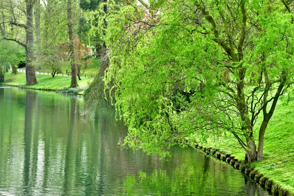 Poissy Frankrijk April 2018 Het Meissonier Park Het Voorjaar — Stockfoto