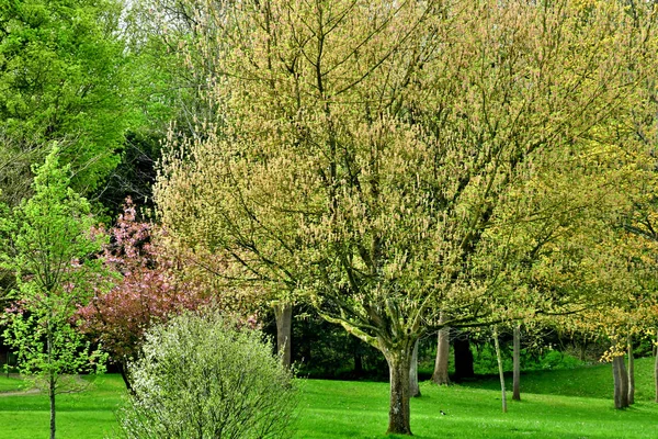 Poissy Francia Abril 2018 Parque Meissonier Primavera — Foto de Stock