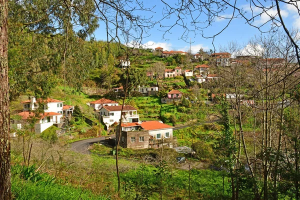 Madeiral Camacha Portugal February 2018 Levada Serra Faial — ストック写真