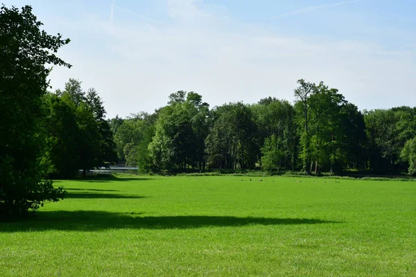 Chamarande Frankrike Juni 2018 Park Slottet — Stockfoto