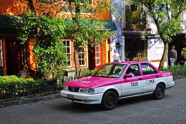 Meksika Meksika Devlet Mayıs 2018 Türkiye Coyoacan Pitoresk Borough — Stok fotoğraf