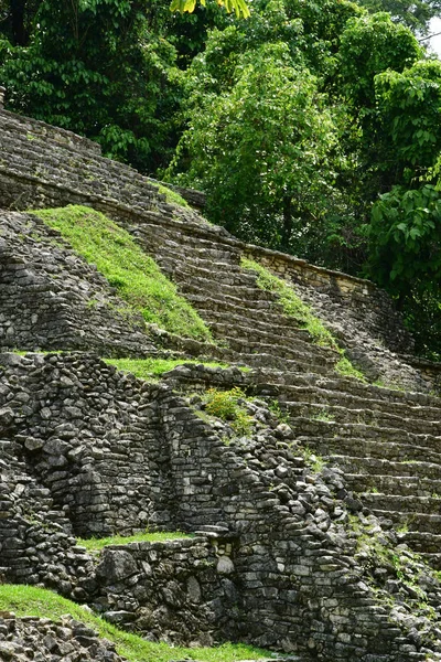 Palenque Chiapas Estados Unidos Mexicanos Mayo 2018 Sitio Maya Precolombino —  Fotos de Stock