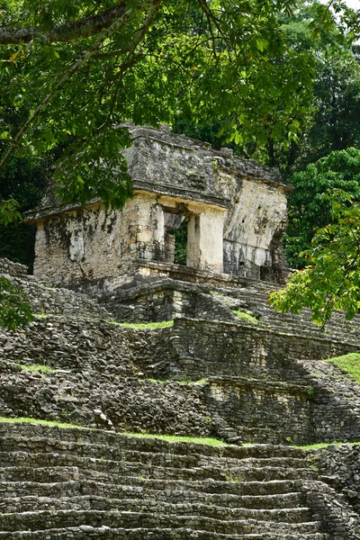 Palenque Chiapas Ηνωμένων Πολιτειών Του Μεξικού Μαΐου 2018 Την Προ — Φωτογραφία Αρχείου