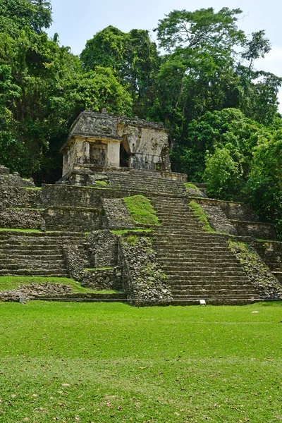 Palenque Chiapas Estados Unidos Maio 2018 Site Maya Pré Colombiano — Fotografia de Stock