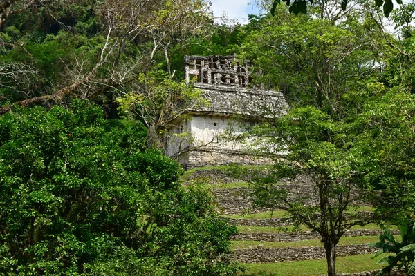 Palenque Chiapas Spojenými Státy Mexickými Května 2018 Pre Columbian Maya — Stock fotografie